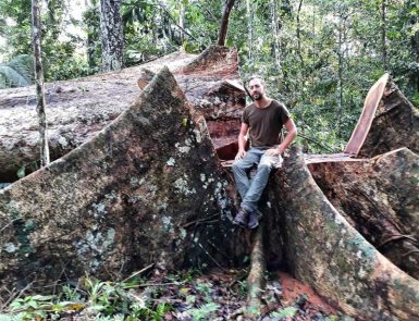 Dave Johnston Conservationist and Community Enterprise Specialist