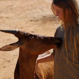 family volunteering in Namibia