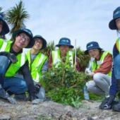 Conservation Volunteers in New Zealand