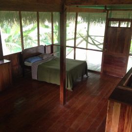 reforestation accommodation