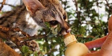 Volunteer Adam in Namibia