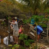 Sustainable Agriculture Volunteer Project, Galapagos