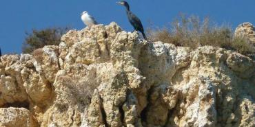 Geography and Climate