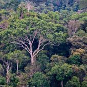  Diana Hernandez, an Ecology and Wildlife Conservation Student from the UK