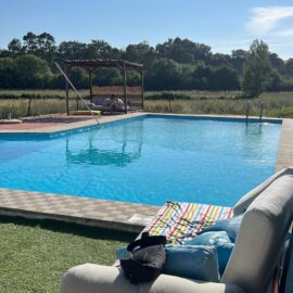 View of swimming pool with trees in the background