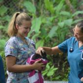 Wildlife Rescue Field Research Crash Course, Costa Rica