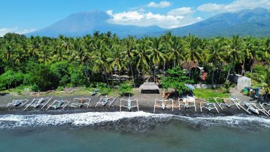 Volunteer lodge under the trees on the beach with boats by the water