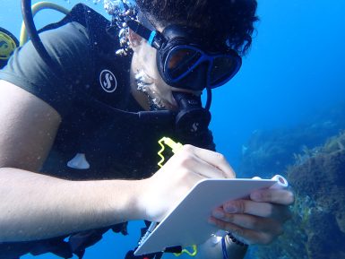 Volunteer diver taking down notes of fish seen on their board