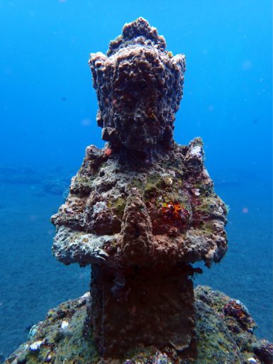 Underwater buddha statue covered in coral