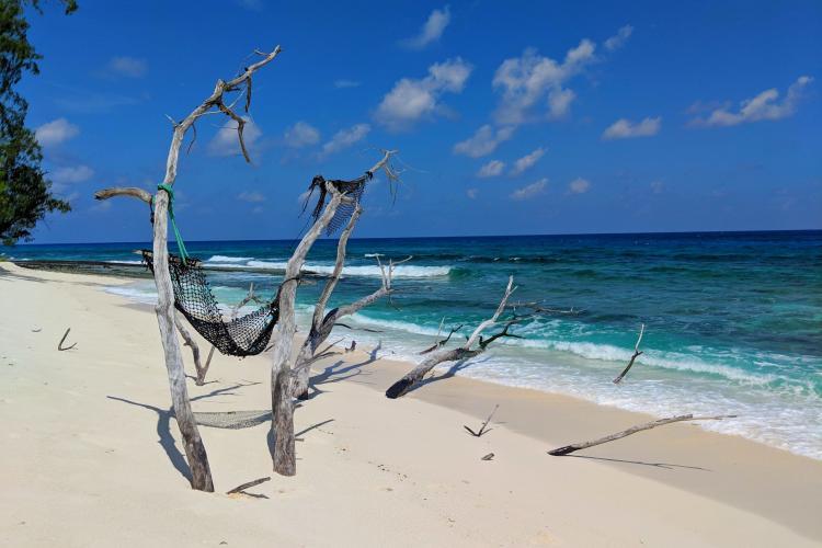 Beach on Seychelles Cousin Island