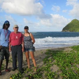 Seniors Volunteering