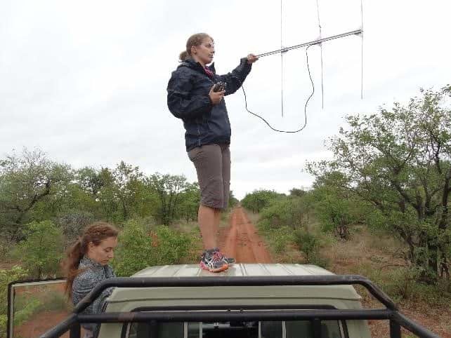 Volunteer Berengere telemetry tracking