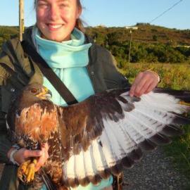Volunteer about to release hawk in South Africa