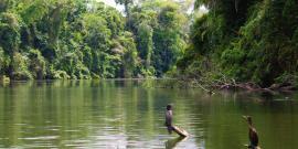 Birds on lake Soledad