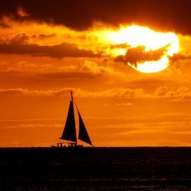 The WorkingAbroad Low Carbon Manifesto