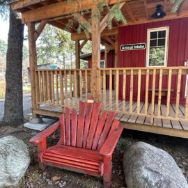 Intake Animal office