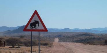 Elephant crossing sign in Namibia