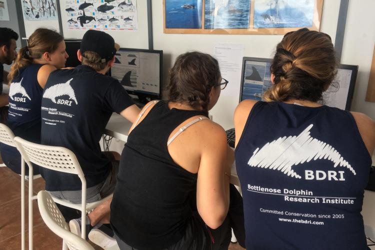 Dolphin research volunteers in the lab