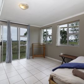 Cheetah Quarters View