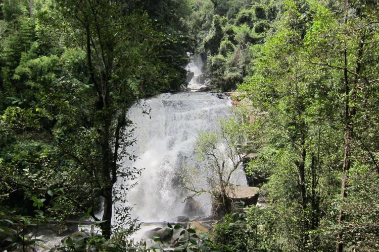 Waterfall in Chiang Mai