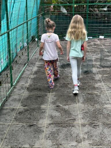 Family volunteering with sea turtles and wildlife in Costa Rica