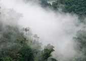 Cloud Forest Conservation & Sustainability Volunteer Project, Ecuador