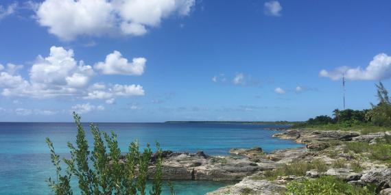 Coastline Isle of youth