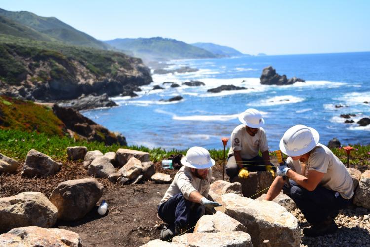 Volunteers collecting data in California