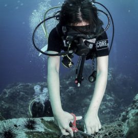 Underwater coral conservation volunteer in Thailand