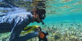 Coral_monitoring