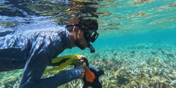 Coral_monitoring