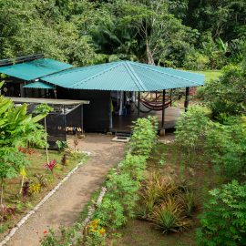Communal building from above surrounded by green trees with a walking path