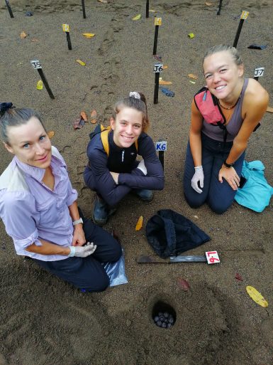 Volunteers sitting on beach by turtle nest