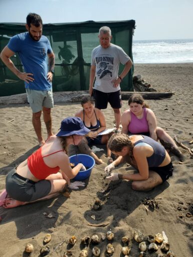 Six volunteers standing and sitting around a turtle nest on the beach