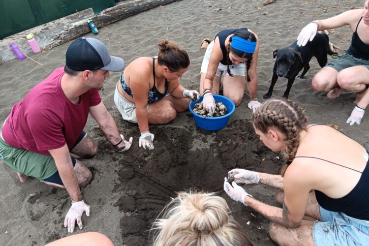 Group of volunteers sitting on the sand around a turtle nest