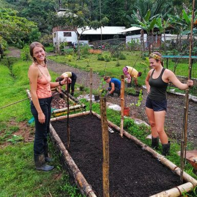 Volunteers gardening outside standing by raised planting bed