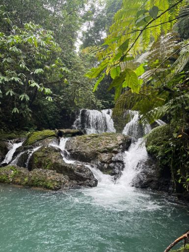 Waterfall with green trees around it