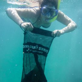 Caribbean Reef Diving | Volunteer in Carriacou | Working Abroad