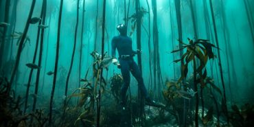 About False Bay, South Africa