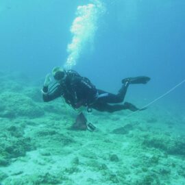 marine conservation volunteering and diving in Barcelona
