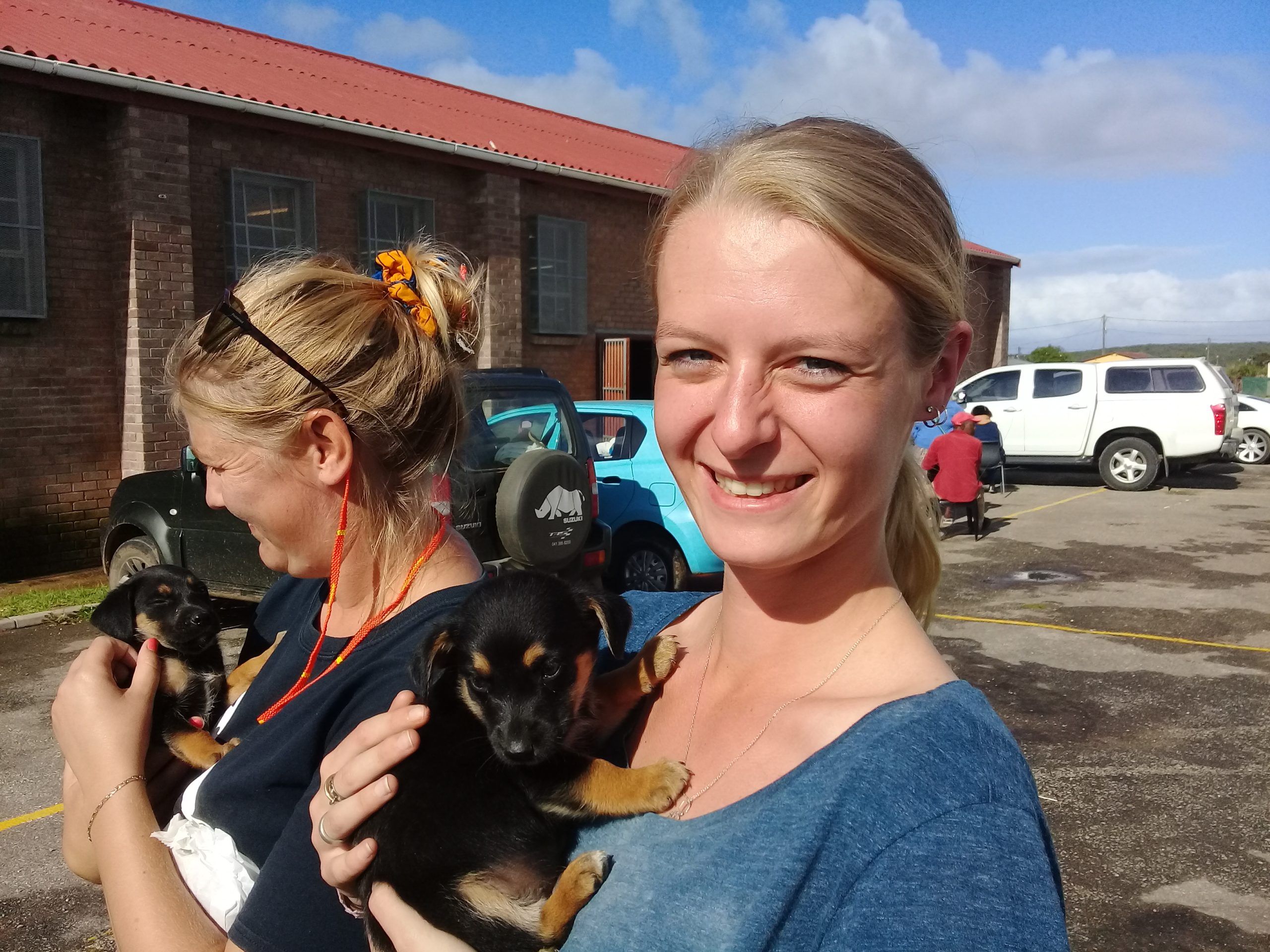 Domestic Animal Care Outreach