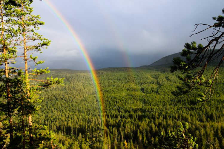 Double rainbow Sweden