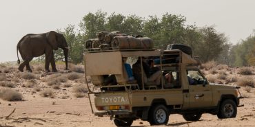 Volunteers in truck with elephant in background in Namibia