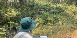 elephant_monitoring