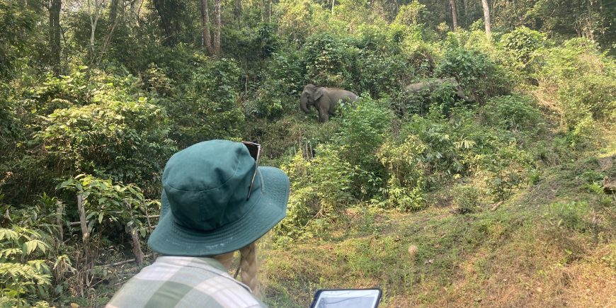 elephant_monitoring