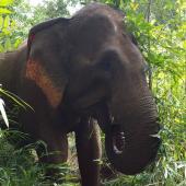 Grainne Finnegan, Ireland 