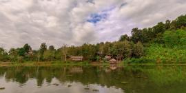 Elephant sanctuary in Laos