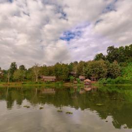 Elephant sanctuary in Laos