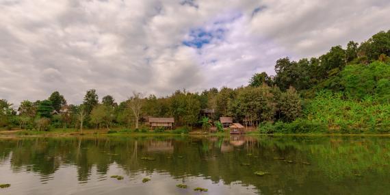 Elephant sanctuary in Laos