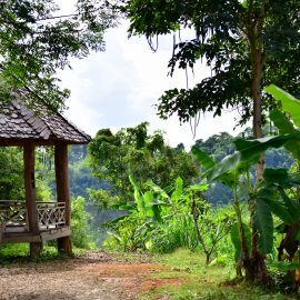 Elephant sanctuary in Laos